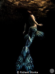 Kimberley Chai introduces a dark note to mermaiding. She ... by Richard Wonka 